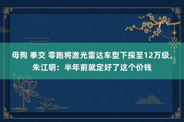 母狗 拳交 零跑将激光雷达车型下探至12万级，朱江明：半年前就定好了这个价钱