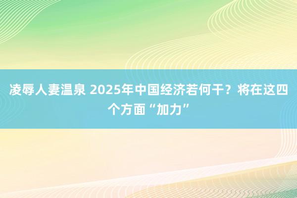凌辱人妻温泉 2025年中国经济若何干？将在这四个方面“加力”