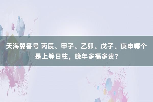 天海翼番号 丙辰、甲子、乙卯、戊子、庚申哪个是上等日柱，晚年多福多贵？