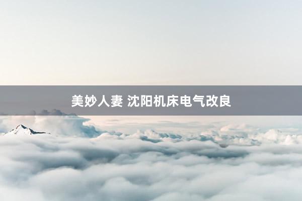 美妙人妻 沈阳机床电气改良