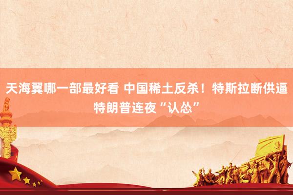 天海翼哪一部最好看 中国稀土反杀！特斯拉断供逼特朗普连夜“认怂”