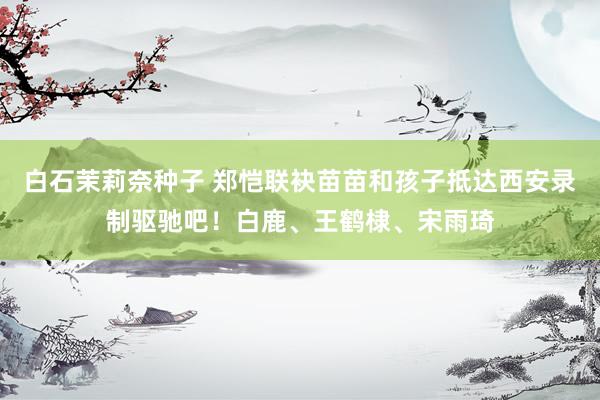 白石茉莉奈种子 郑恺联袂苗苗和孩子抵达西安录制驱驰吧！白鹿、王鹤棣、宋雨琦