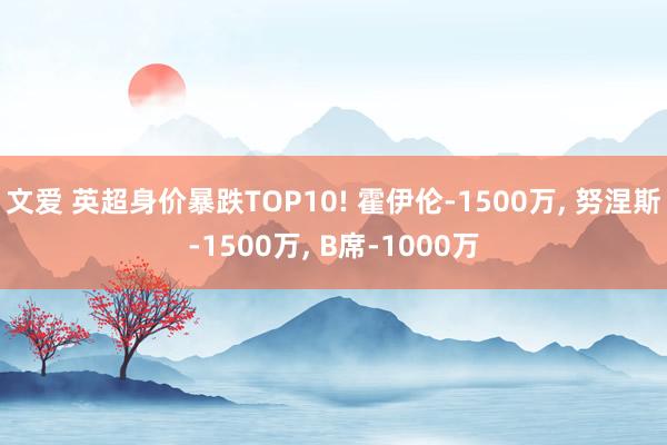 文爱 英超身价暴跌TOP10! 霍伊伦-1500万， 努涅斯-1500万， B席-1000万