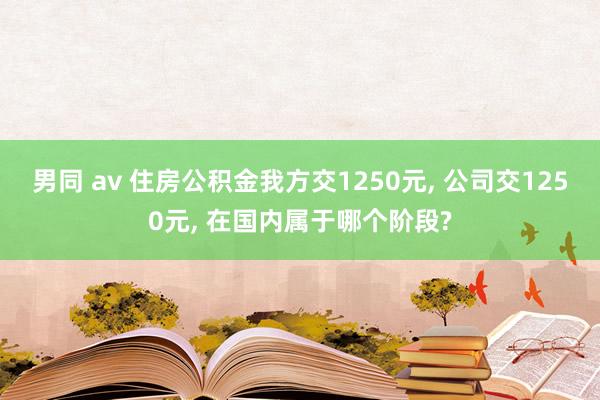 男同 av 住房公积金我方交1250元， 公司交1250元， 在国内属于哪个阶段?