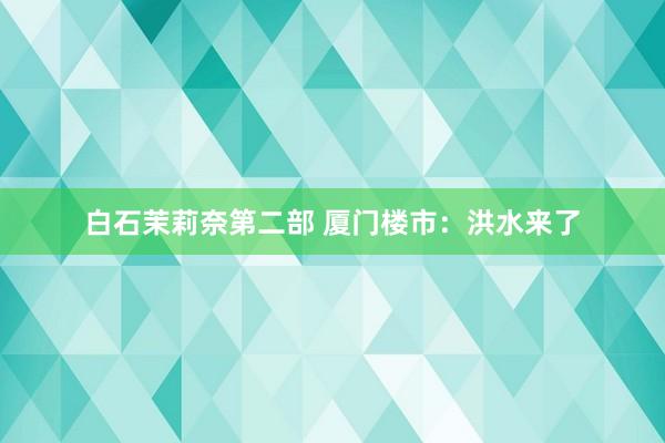 白石茉莉奈第二部 厦门楼市:洪水来了