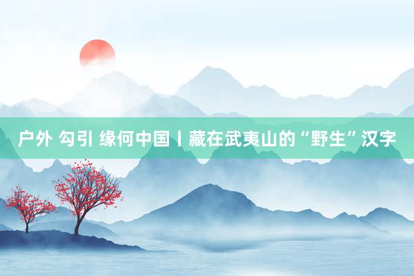 户外 勾引 缘何中国丨藏在武夷山的“野生”汉字