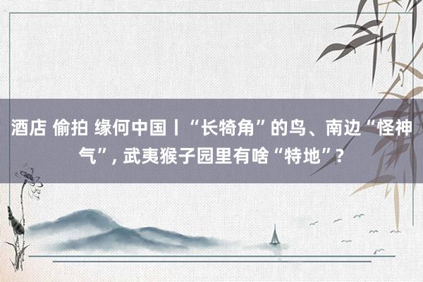 酒店 偷拍 缘何中国丨“长犄角”的鸟、南边“怪神气”， 武夷猴子园里有啥“特地”?