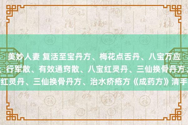 美妙人妻 复活至宝丹方、梅花点舌丹、八宝万应酒、益元散、卫生宝方、行军散、有效通窍散、八宝红灵丹、三仙换骨丹方、治水疥疮方《成药方》清手本